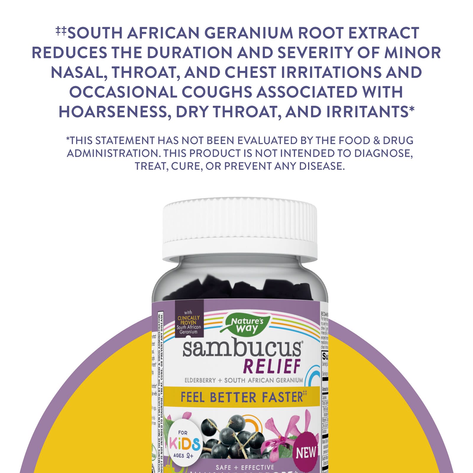 Nature's Way, Kids Cough Relief + Immune Gummy, Ages 2+, 36 Gummies