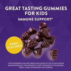 Nature's Way, Sambucus Relief, Immune Support, For Kids, 2+, Elderberry + South African Geranium, Immununterstützung für Kinder ab 2 Jahren, Holunder und südafrikanische Geranie, 36 Fruchtgummis