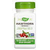 Hawthorn Berries, 510 mg, 100 Vegan Capsules