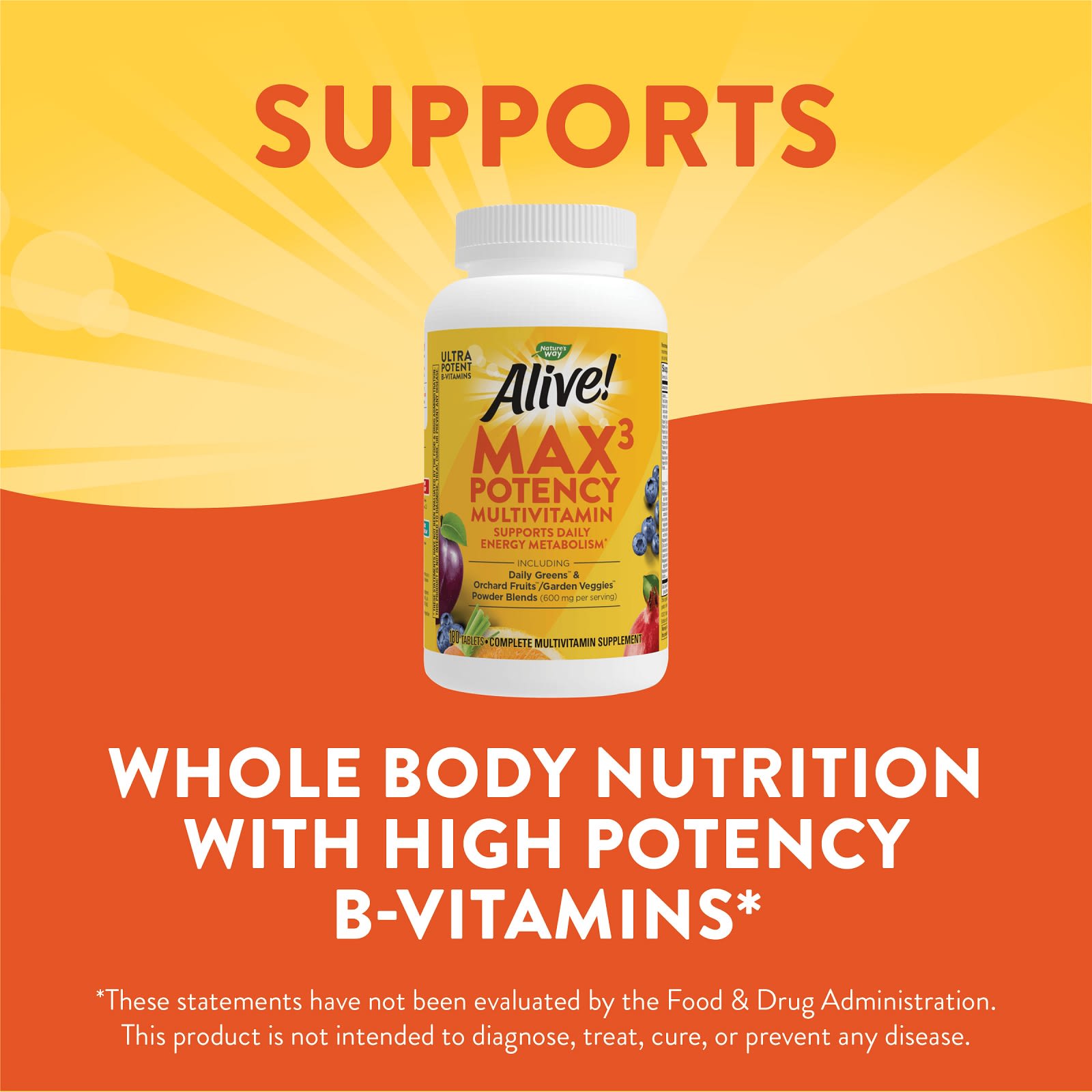 Nature's Way, Alive! Max3 Potency Multivitamin, 180 Tablets