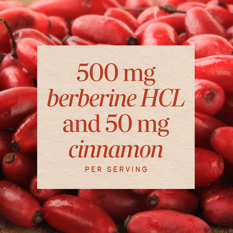 Berberine With Cinnamon, 60 Vegan Capsules