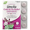 Nature's Way, Umcka, Cold & Flu Relief Chewables, Ages 6+, Berry, 20 Tablets