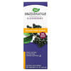 Sambucus, Standardized Elderberry, Sugar-Free Syrup, 8 fl oz (240 ml)