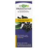 Sambucus Immune Syrup, Standardized Elderberry, 8 fl oz (240 ml)