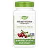 Hawthorn Berries, Weißdornbeeren, 1.080 mg, 180 vegane Kapseln (360 mg pro Kapsel)