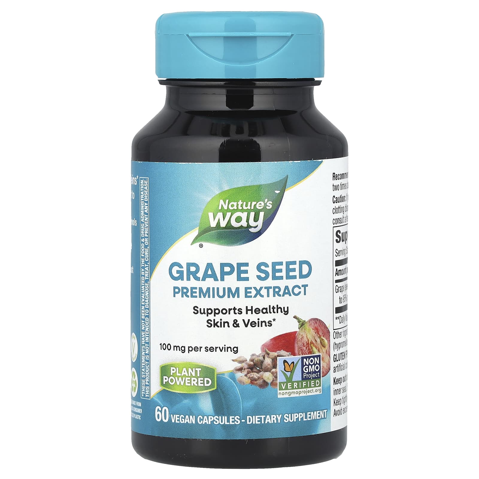 Grape Seed, Premium Extract, 100 mg, 60 Vegan Capsules