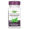 Andrographis, 300 mg, 60 Vegan Capsules