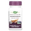 Ashwagandha, Premium Extract, 500 mg, 60 Vegan Capsules