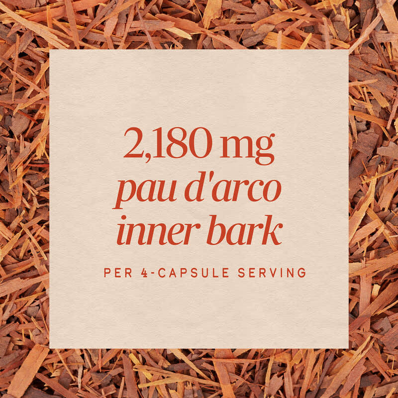 Pau D'Arco Labo パウダルコ 楽天市場】pau d'arcoの通販