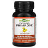 Evening Primrose, 500 mg, 100 Softgels