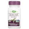 Premium Extract, Olive Leaf, 250 mg, 60 Vegan Capsules