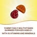 Nature's Way, Alive! Kids, Gummy Multivitamin, Cherry, Orange & Grape, 60 Gummies - Image 4