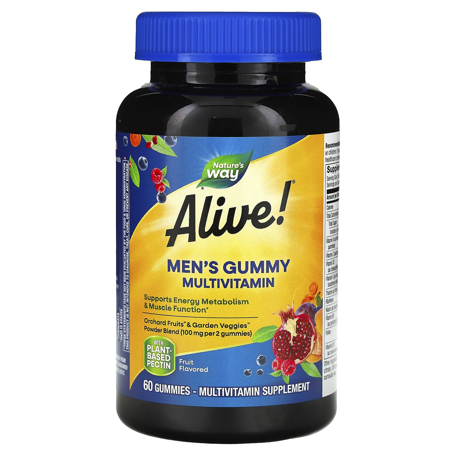 Nature's Way, Alive! Men's Gummy Multivitamin, Fruit, 60 Gummies