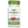 Raspberry Leaf, 450 mg, 100 Vegan Capsules