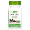 Uva Ursi, Leaves, 480 mg, 100 Vegan Capsules