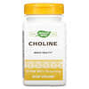 Choline, 500 mg, 100 Vegan Tablets