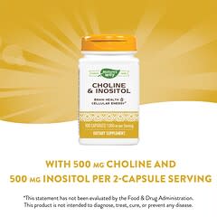 Nature's Way, Choline & Inositol, 500 mg, 100 Capsules