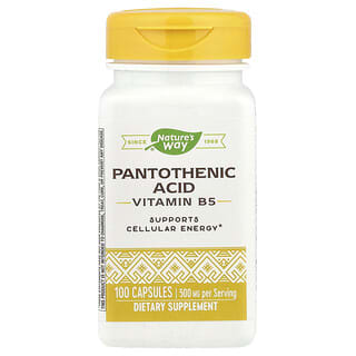 Nature's Way, Pantothenic Acid, Pantothensäure, Vitamin B 5, 500 mg, 100 Kapseln (250 mg pro Kapsel)