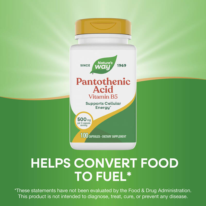 ビタミン pantothenic ACid 61sqaOK7HXL._AC_UF1000,