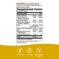 Nature's Way, B-100 Complex with B2 Coenzyme, 60 Capsules