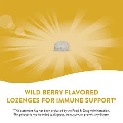 Nature's Way, Zinc Lozenges, Wild Berry Flavored, 60 Vegan Lozenges