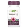 Echinacea, 500 mg, 60 Vegan Capsules