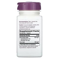 Nature's Way, Premium-Extrakt, Olivenblatt, 250 mg, 60 vegane Kapseln