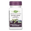 Premium Extract, Olive Leaf, 250 mg, 60 Vegan Capsules
