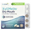 OraCoat, XyliMelts® Boca Seca, Menta Suave, 40 Derretimentos