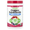 Orgain, Organic Superfoods™ + 프로바이오틱 슈퍼 뉴트리션 분말, 베리맛, 280g(9.9oz)