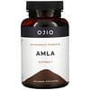 Amla Powder Extract, 3.53 oz (100 g)