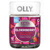 Elderberry, Extra Strength, extra starker Holunder, viele Beeren, 450 mg, 60 Fruchtgummis (225 mg pro Fruchtgummi)