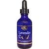 Lavender Oil, 2.0 fl oz