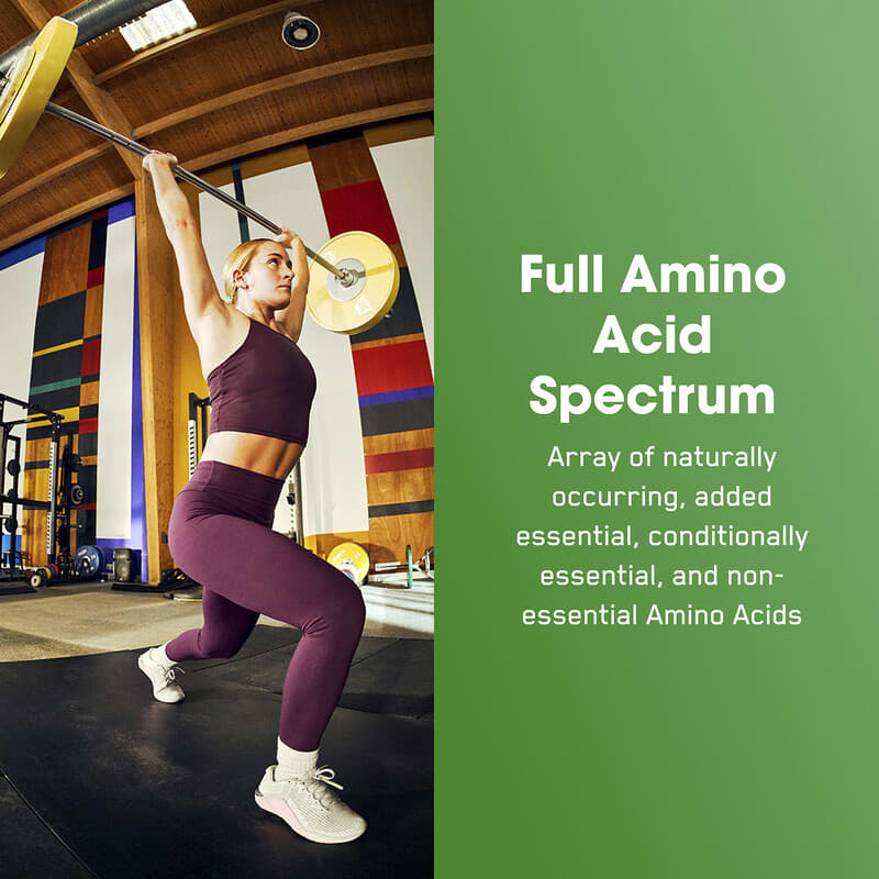 Optimum Nutrition, Superior Amino 2222, 320 Tablets | iHerb