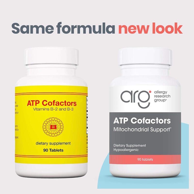 how to take alcar acetyl l-carnitine Acetyl L-Carnitine Capsules (500mg) - Alcar