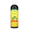 TheraNeem Naturals, Scalp Therape Shampoo, For All Hair Types & Sensitive Scalps, 12 fl oz (360 ml)