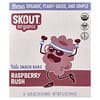 Skout Organic, Barritas para niños, Fiebre de frambuesa, 6 barritas, 24 g (0,85 oz) cada una