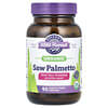 Organic Saw Palmetto, Bio-Sägepalmenbeere, 90 vegane Bio-Kapseln