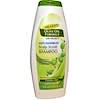 Scalp Scrub Shampoo, Olive Oil Formula, Anti-Dandruff, 13.5 fl oz (400 ml)