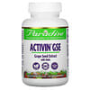 ActiVin Grape Seed Extract with Amla, 90 Vegetarian capsules