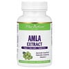 Amla Extract, 60 Vegetarian Capsules