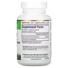 Paradise Herbs, Olive Leaf, 120 Vegetarian Capsules