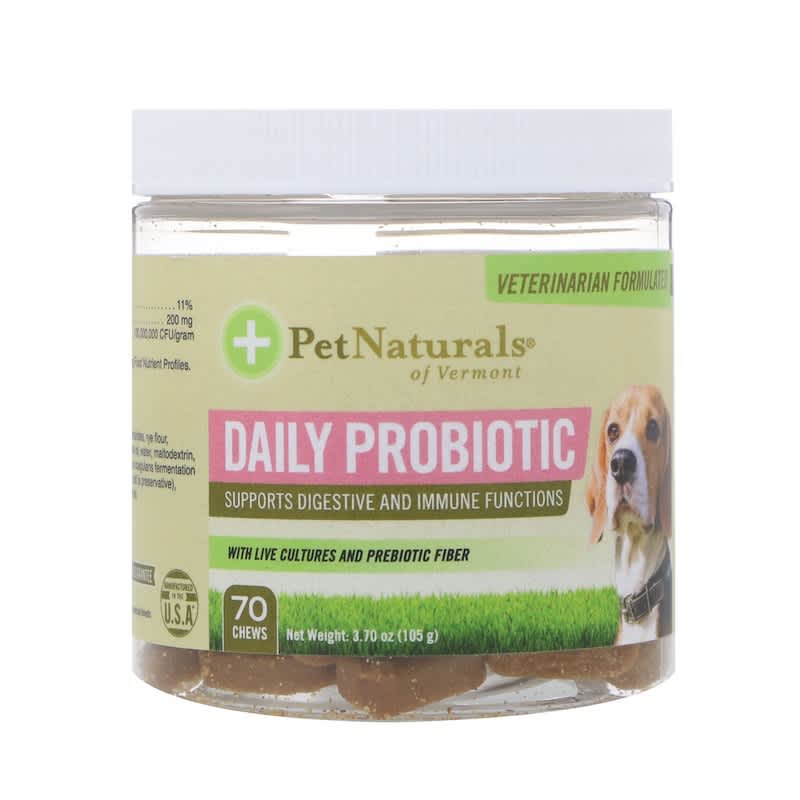 Pet naturals of vermont hotsell daily probiotic for dogs