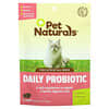 Pet Naturals, Probiotiques quotidiens, Pour chats, 30 gommes à mâcher, 36 g