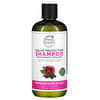 Pure, Color Protection Shampoo, Pomegranate and Acai, 16 fl oz (475 ml)