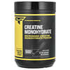 Creatine Monohydrate, Unflavored, 1.1 lb (500 g)