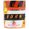 Burn, Advanced Thermogenic Formula, Watermelon Mojito, 3.3 oz (96.0 g)