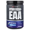 ProSupps, Hydro BCAA + 必需营养素，蓝莓味，14.6 盎司（414 克）