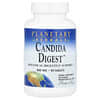 Candida Digest™, 90 tabletek