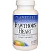 Hawthorn Heart, 900 mg, 120 Tablets